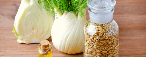10 Incredible Health Benefits Of Fennel You Might Not Be Aware Of